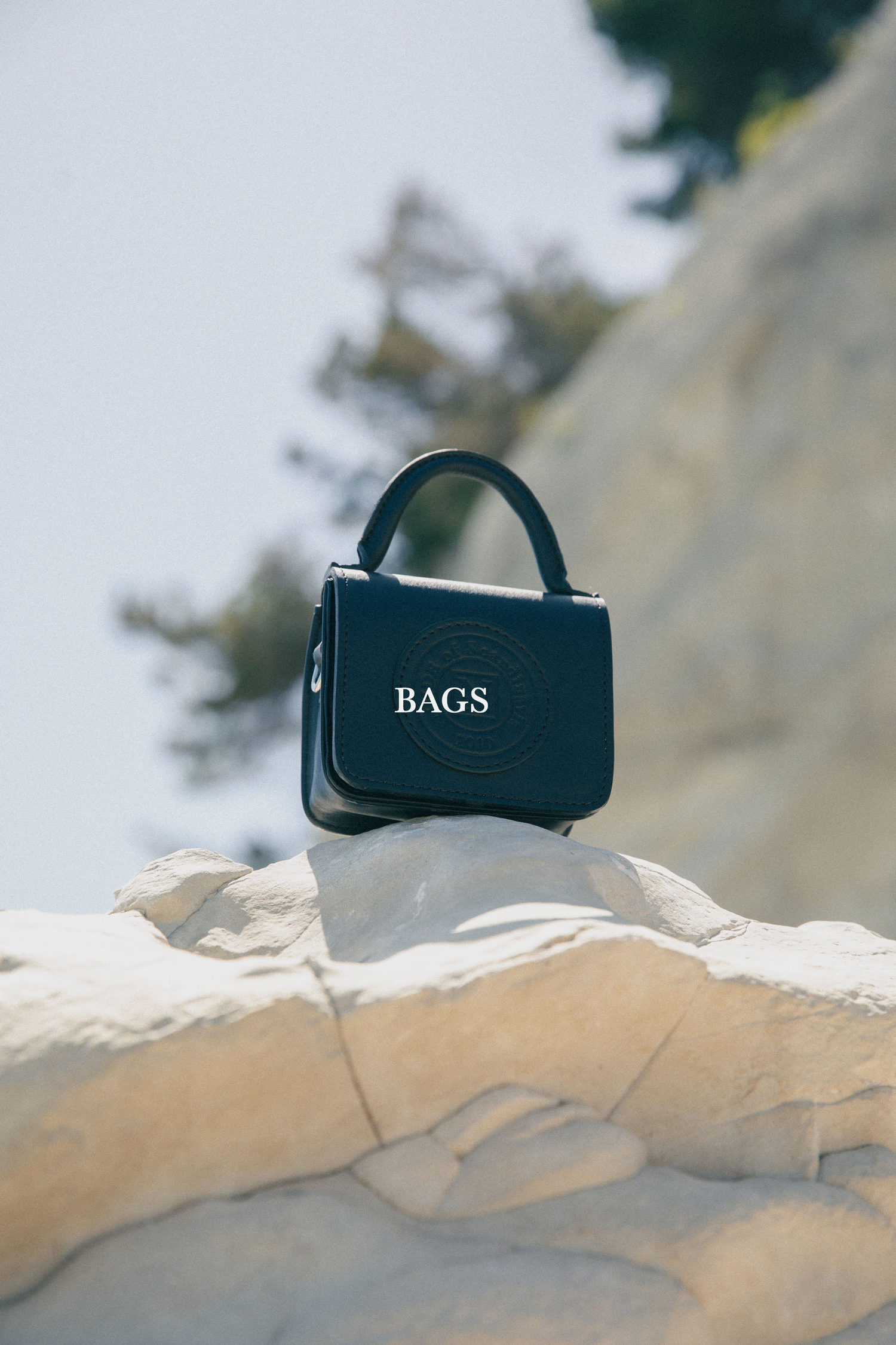 BAGS